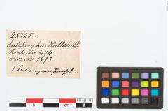 Etikett zu Bronzeanhänger (NHMW-PRAE-025125)